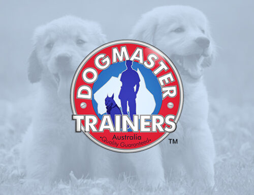 DogMaster